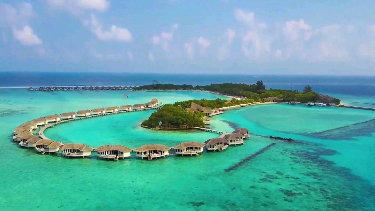 组装机械机甲暴龙2