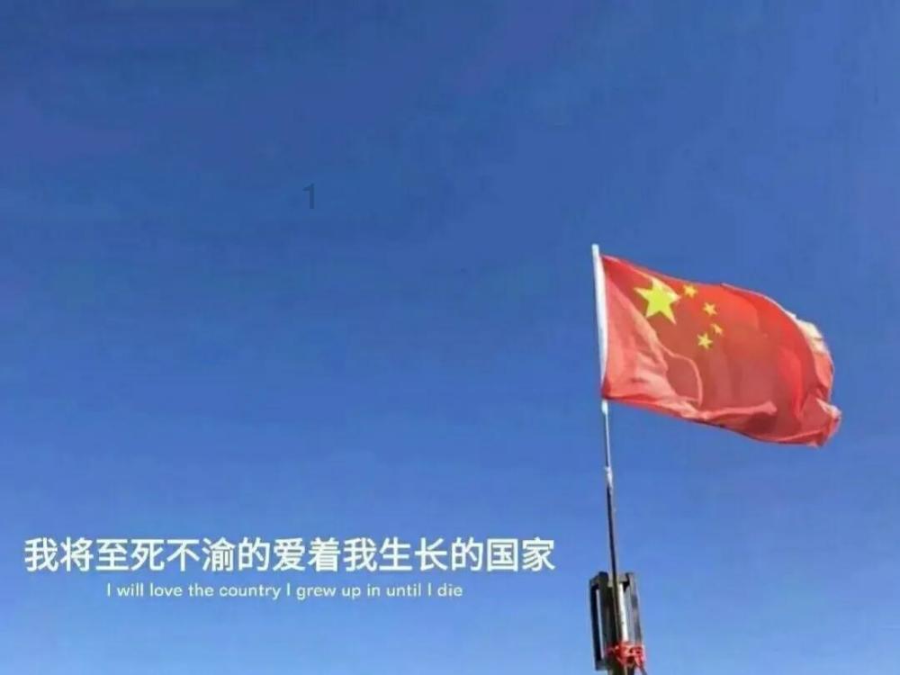 2023年洗衣机电商周度数据报告--W51